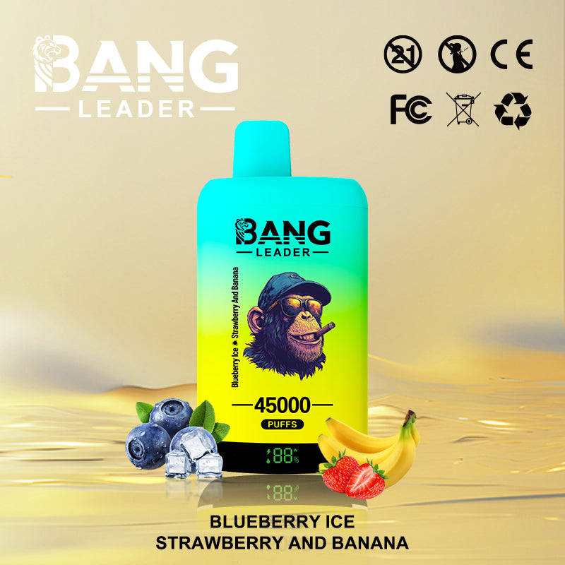 Bang Leader 45000 45K Puffs 2% 3% 5% Nicotine Double Taste LED Display Disposable Vape(Box of 3)