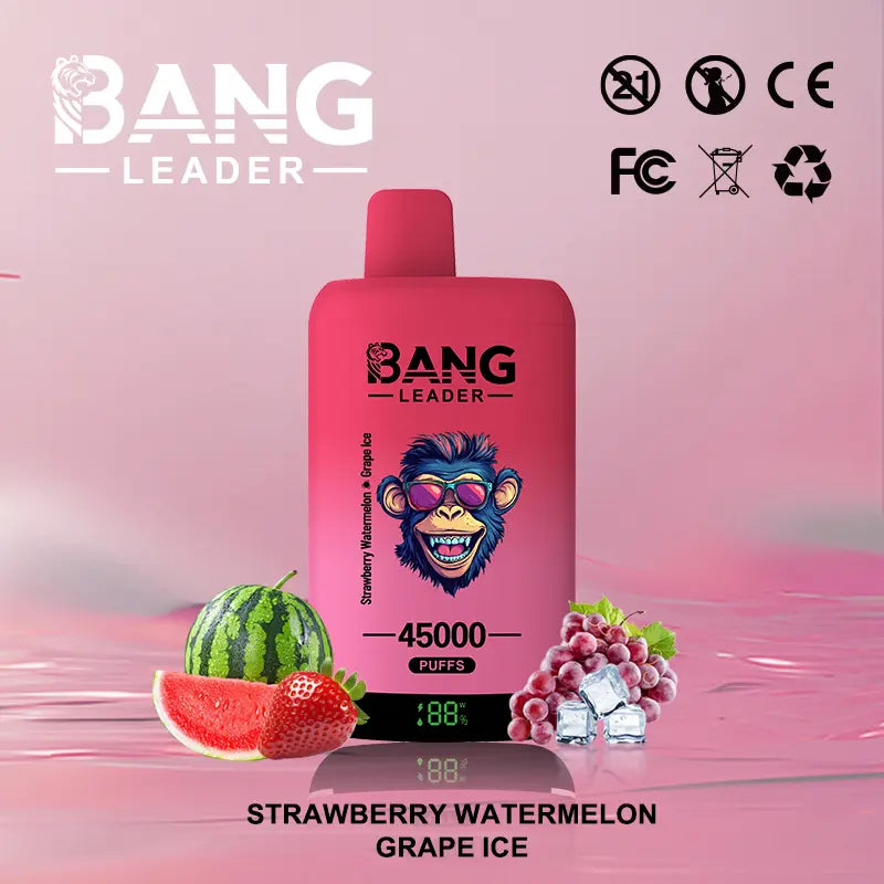 Bang Leader 45000 45K Puffs 2% 3% 5% Nicotine Double Taste LED Display Disposable Vape(Box of 3)