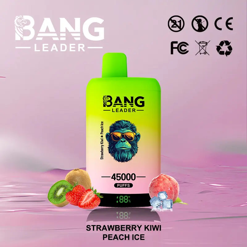 Bang Leader 45000 45K Puffs 2% 3% 5% Nicotine Double Taste LED Display Disposable Vape(Box of 3)