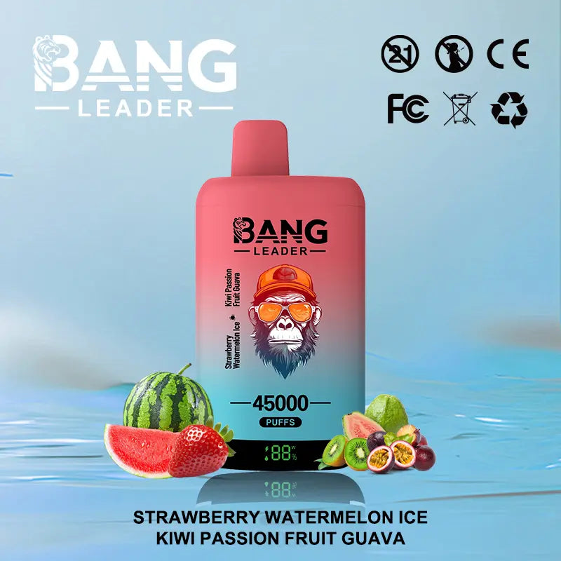 Bang Leader 45000 45K Puffs 2% 3% 5% Nicotine Double Taste LED Display Disposable Vape(Box of 3)