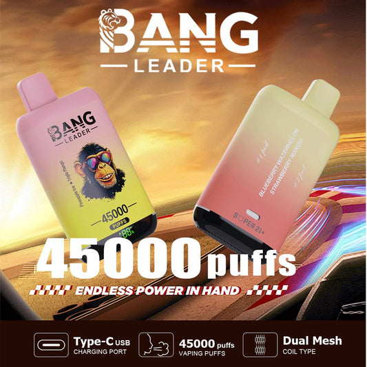 Bang Leader 45000 45K Puffs 2% 3% 5% Nicotine Double Taste LED Display Disposable Vape(Box of 3)