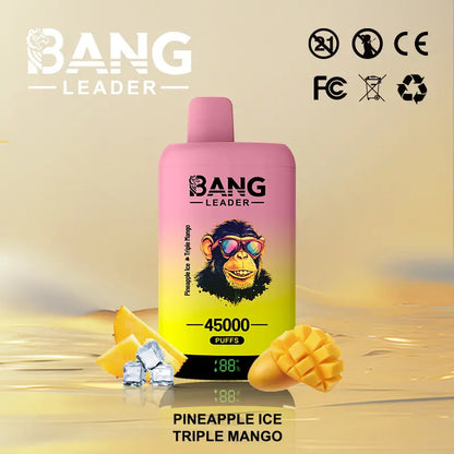 Bang Leader 45000 45K Puffs 2% 3% 5% Nicotine Double Taste LED Display Disposable Vape(Box of 3)
