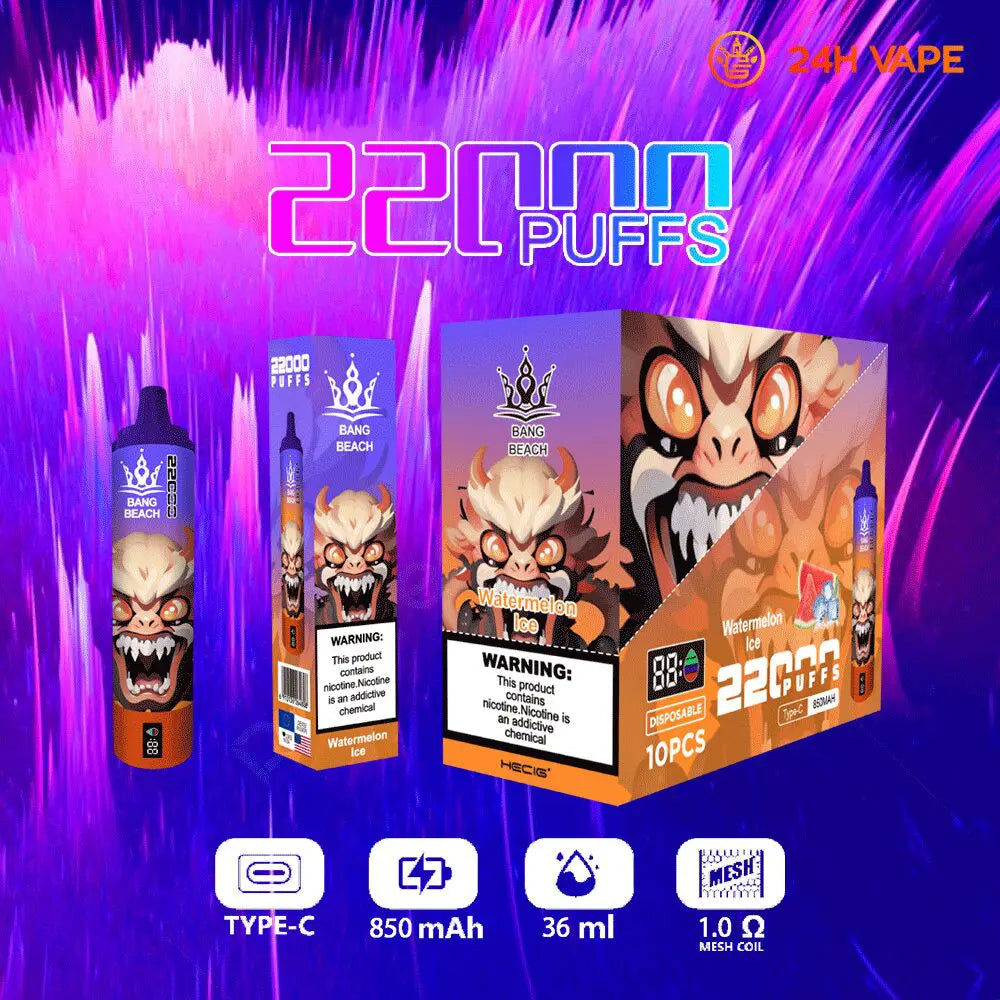 Bang Beach 22000 Puffs Original LED Display Edition Disposable Vape Pen(Box of 3)