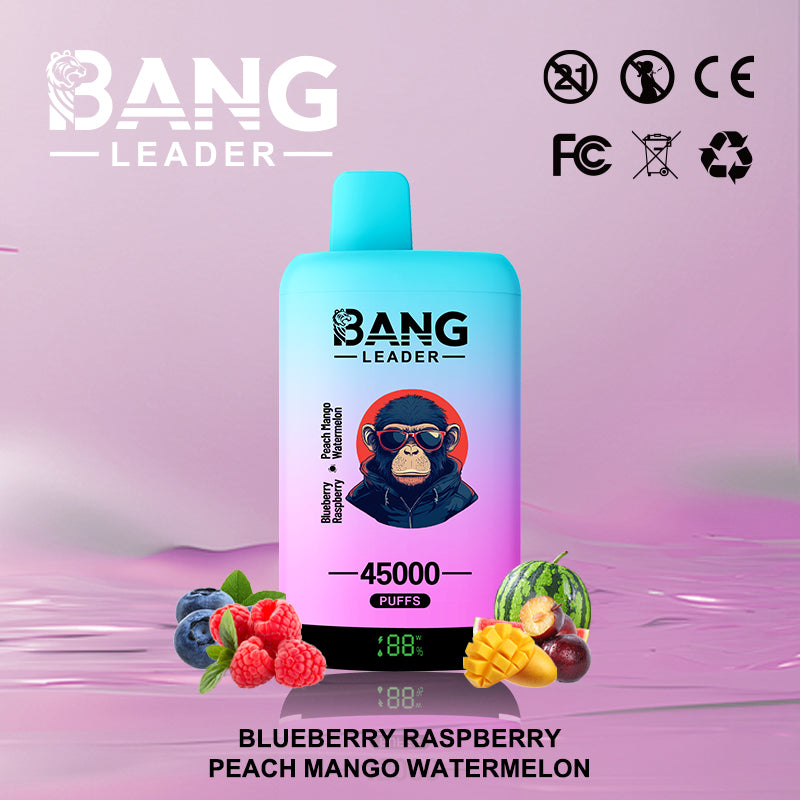Bang Leader 45000 45K Puffs 2% 3% 5% Nicotine Double Taste LED Display Disposable Vape(Box of 3)