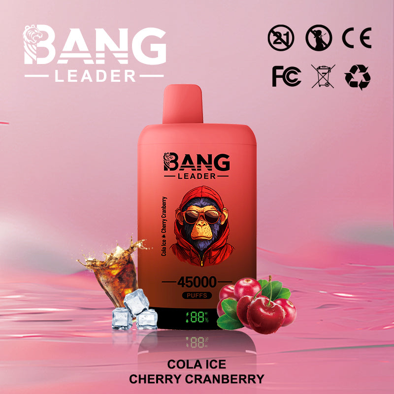 Bang Leader 45000 45K Puffs 2% 3% 5% Nicotine Double Taste LED Display Disposable Vape(Box of 3)